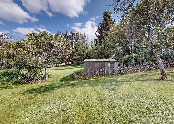 Beautiful In With Wifi * Taintrux